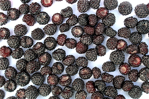 Texture of black raspberries on a white background.