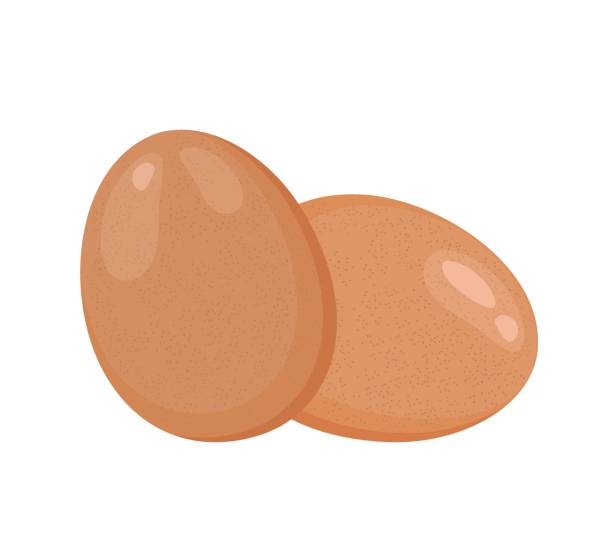 ilustrações de stock, clip art, desenhos animados e ícones de brown chicken eggs, flat style vector illustration isolated on white background - white background brown animal egg ellipse