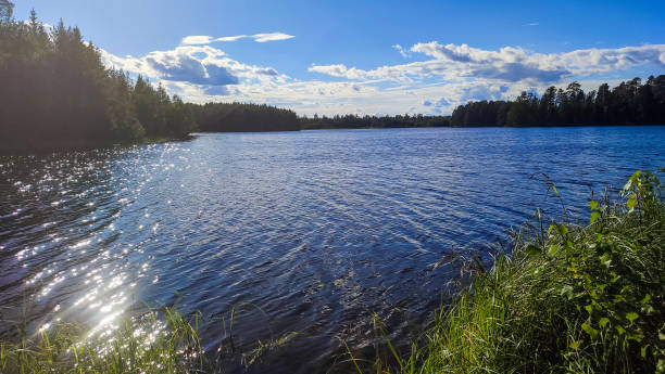 istock Natural idyll at a Swedish forest lake in summer 1418122618