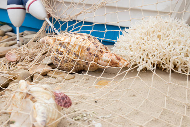 istock fishing net, sea pebbles and shells close-up. 1418125019