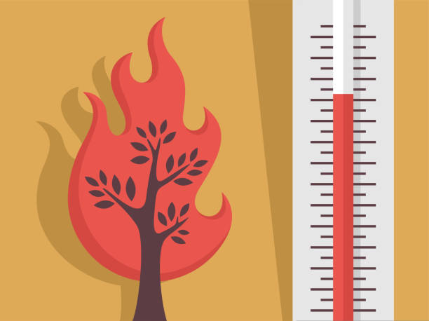 ilustrações, clipart, desenhos animados e ícones de calor extremo causa incêndios florestais - global warming flash