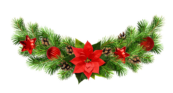 Christmas waved garland with red pionsettia flower, pine twigs and decorations isolated on white. Flat lay. Top view.