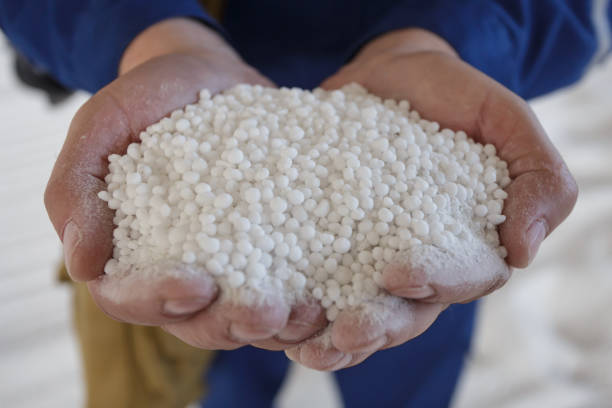 Plant worker holds granules of nitrogen fertilizer. Plant worker holds granules of nitrogen fertilizer. Production of big chemical factory. ammonia fertilizer stock pictures, royalty-free photos & images