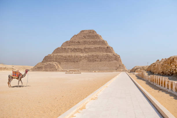 istock Camel at The Step Pyramid, Sakkara, Egypt 1418137411