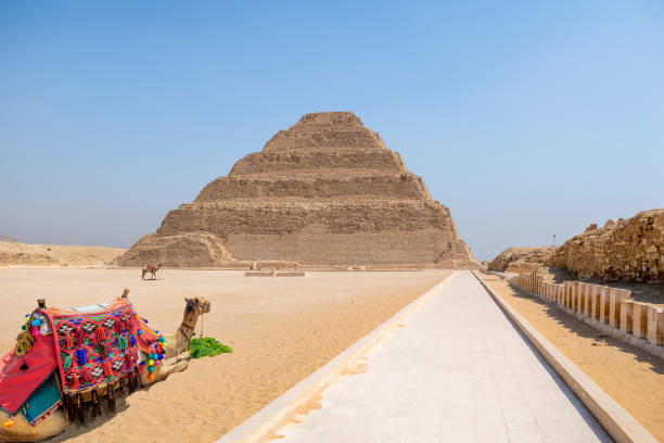 ステップピラミッドのラクダ、サッカラ、エジプト - saqqara ストックフォトと画像