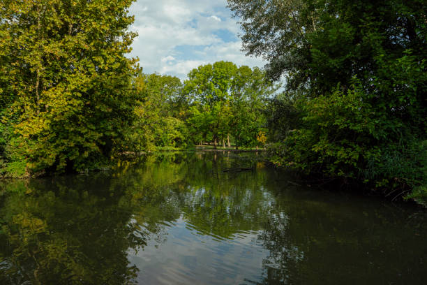 istock small pond in the park 1418137771
