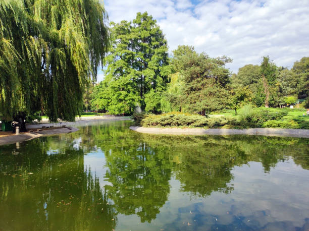 istock green trees reflected in the calm lake 1418138023