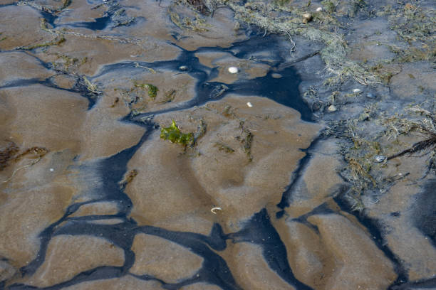 areia preta e marrom formando um padrão natural durante a maré baixa no mar do norte - silt sand textured black sand - fotografias e filmes do acervo