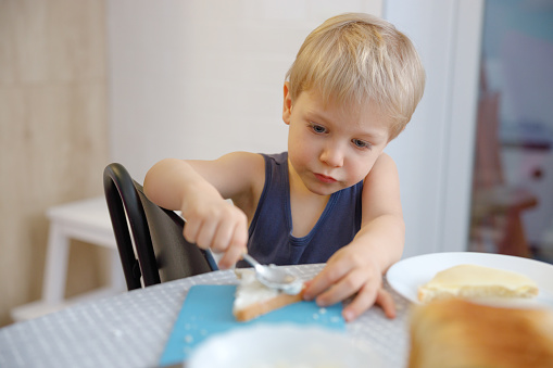 Toddler sitting by himself at the dining table at home, spreading butter on sliced bread and eating independently