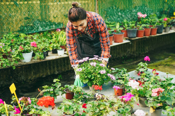 istock Latin woman working inside greenhouse garden 1418145140