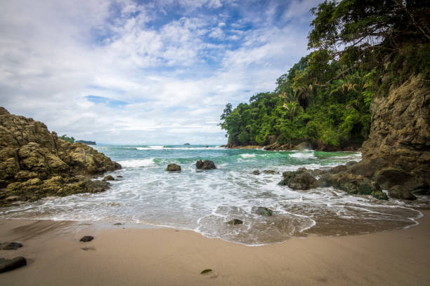 Paradisiacal beach of Escondido, in the National Park of Manuel Antonio, Costa Rica. Paradisiacal beach of Escondido, in the National Park of Manuel Antonio, Costa Rica. Summer, light and color manuel antonio national park stock pictures, royalty-free photos & images