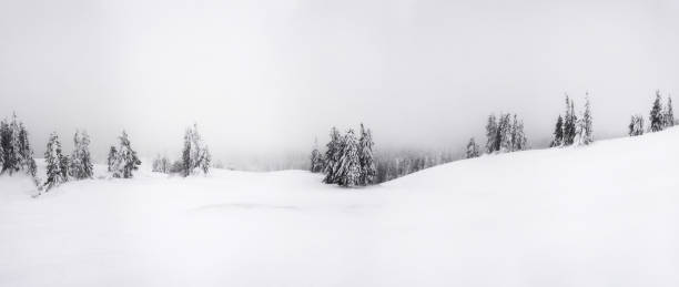 Free Stock Photo of Snow Covered Mountain With Trees | Download Free ...
