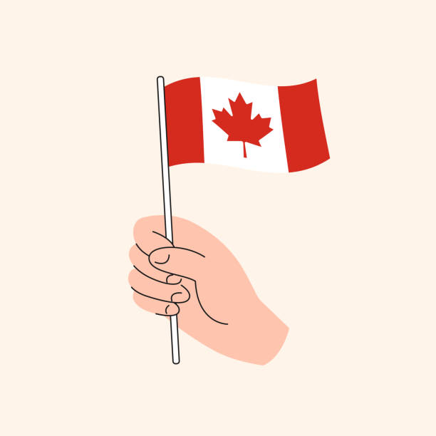 Cartoon Hand Holding Canadian Flag Icon. Isolated Vector Drawing. The Flag of Canada, Concept Illustration. Flat Design Isolated Vector. canadian flag maple leaf computer icon canada stock illustrations