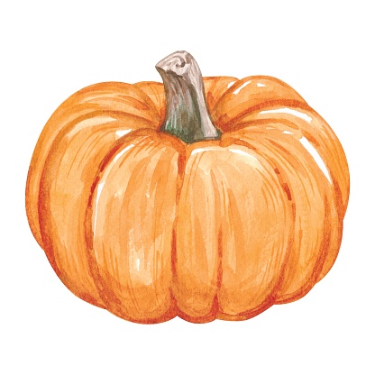 Watercolor autumn pumpkin. High quality illustration