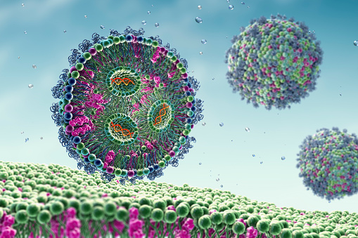 Lipid nanoparticle mRNA vaccine used against Covid-19 and influenza. 3D illustration showing cross-section of lipid nanoparticle carrying mRNA of the virus (orange) entering a human cell