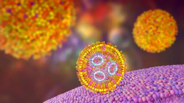 Lipid nanoparticle mRNA vaccine. A type of vaccine used against Covid-19 and influenza. 3D illustration showing cross-section of the lipid nanoparticle carrying mRNA of the virus entering a human cell