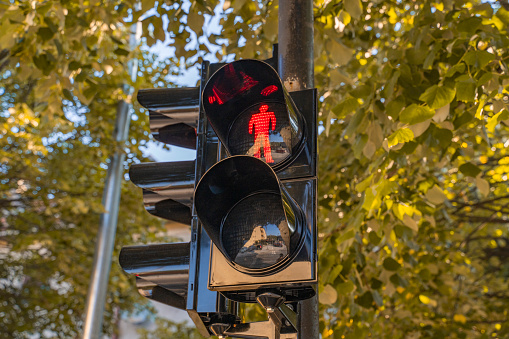a black traffic light in the city showing a prohibitive signal for pedestrians against the background of orange autumn foliage. Traffic rules close-up