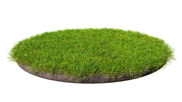 istock Round surface covered with green grass isolated on white background. 3D rendering illustration 1418160887