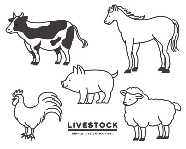 ilustraciones, imágenes clip art, dibujos animados e iconos de stock de iconos de animales relacionados con el ganado, como vacas y cerdos, que son material de ilustración vectorial / ganado / alimentos simples y lindos - animal husbandry illustrations