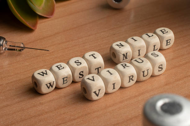istock Dice surrounded by vials and syringes make up the word West Nile Virus 1418163995