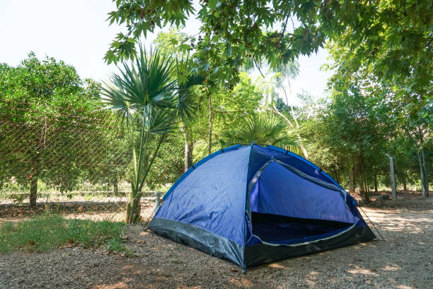 A blue tent set up in nature. stock photo
