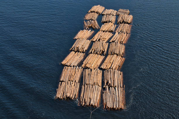 radeaux de bois d’œuvre - wooden raft photos et images de collection