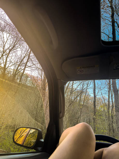 istock Soaking up the sun￼ in the vehicle 1418168779
