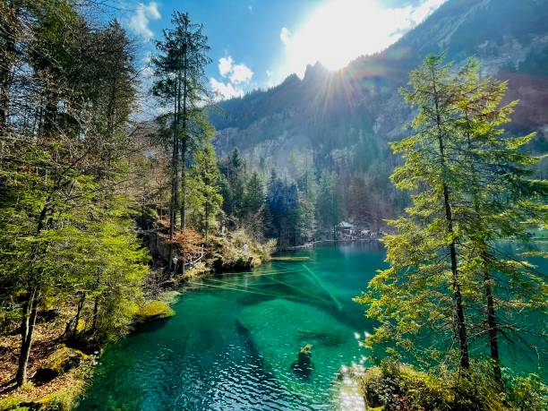 parc naturel de blausee - switzerland berne mountain european alps photos et images de collection