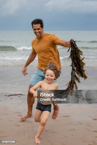I Dont Like Touching The Seaweed Stock Photo - Download Image Now - 4-5 Years, 45-49 Years, Active Lifestyle