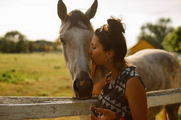 istock sunset at the horses ranch 1418171456