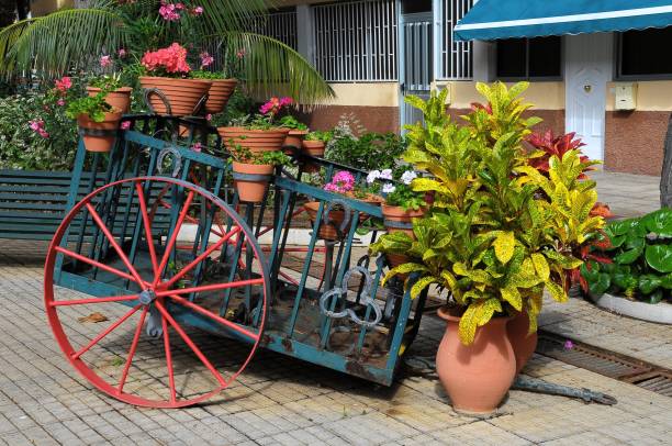 istock Wagon and Plants , digital photo image 1418171852