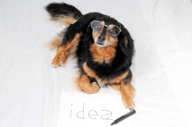 istock Drawing Dog , digital photo image 1418171856