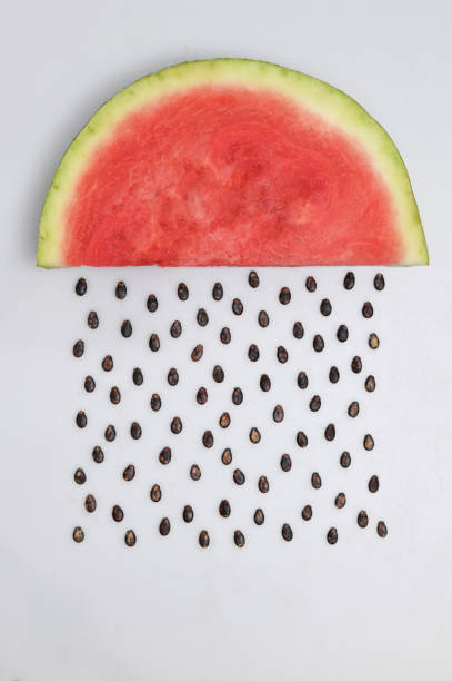 Watermelon Slice With Seeds Raining stock photo