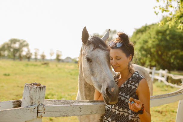 Young woman spending time with her horses, on a bright and beautiful summertime day.