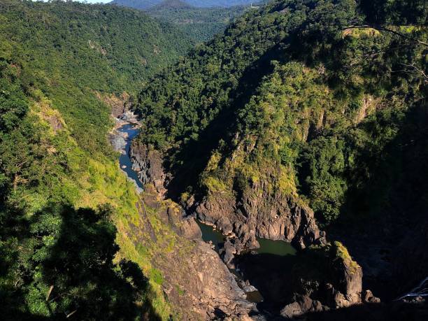 Mossman Gorge Natures gift to us mossman gorge stock pictures, royalty-free photos & images