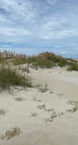 istock Sand Dunes - Tybee Island, GA 1418176866