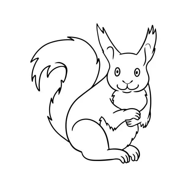 Vector illustration of Monochrome picture, cute sitting squirrel, vector cartoon