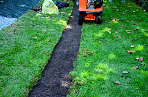 peeling grass carpets using a motorized peeler. replacement of grass sods as carpets. the worker coils the green belt into a ball. the knife of the machine undermines and cuts the roots from subsoil, pull up, belts, undermine, subsoil, gardener, remove
