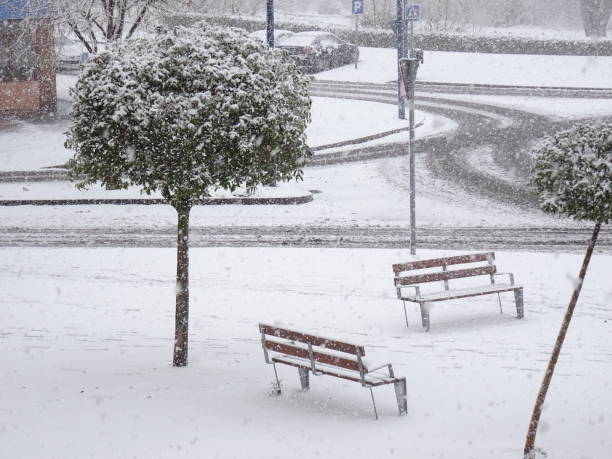 snowing in the city