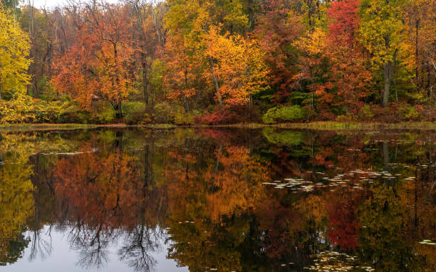 istock A pond in the Fall in Massachusetts 1418186390