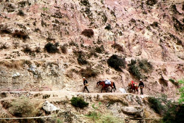 On hiking trail to Yubeng 2003: Pilgrims with horses walk in the valley In the summer of 2003, I introduced the hidden Yubeng Village deep in the snow mountains to the world through the Internet. Now, 20 years later, Yubeng has become a famous tourist destination. 
Before 2003, Yubeng was only a pilgrimage site for Tibetans. the pilgrimage is hiking in canyon and climbing mountain pass. 
Photographic slide photo in May 2003, Deqin County, Yunnan meili mountains photos stock pictures, royalty-free photos & images