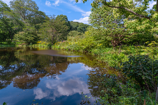 A picturesque pond surrounded by trees and flowers in an arboretum in spring