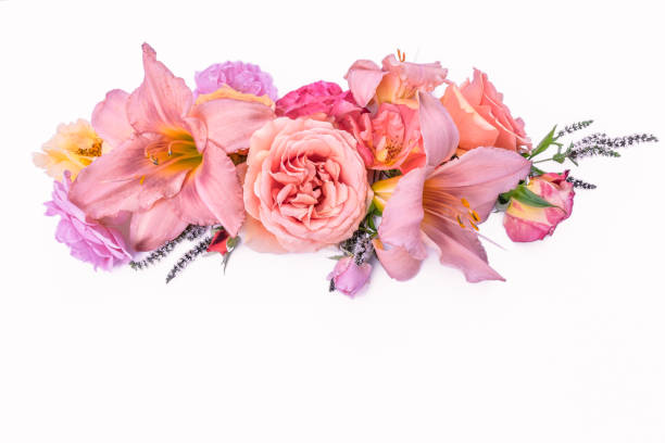 istock Composition of pink flowers on a white background. 1418186861