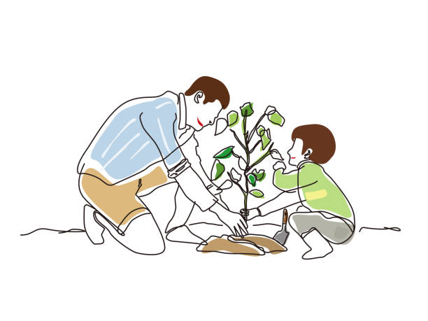 ilustraciones, imágenes clip art, dibujos animados e iconos de stock de boceto estilo de vida 3_tree plantación ilustración vectorial gráfico eps 10 - tree growth cultivated sapling