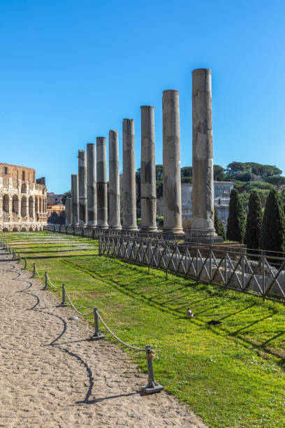 la via sacra au forum romain de rome, italie - light nobody coliseum vertical photos et images de collection