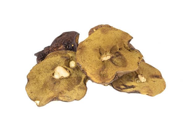 istock dried mushrooms on a white isolated background 1418198290