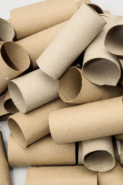 istock Empty Toilet Paper Roll , digital photo image 1418200879