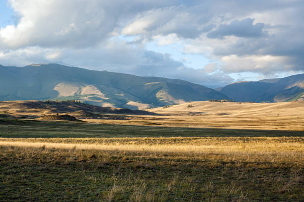 istock Steppe against the backdrop of mountains 1418203832