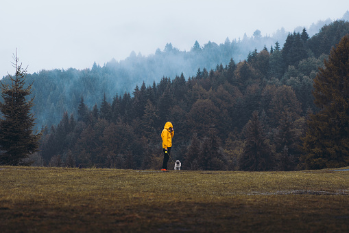 One man in a yellow jacket walking with his dog in the autumn forest looking at the mountain peaks in Carpathians, Ukraine