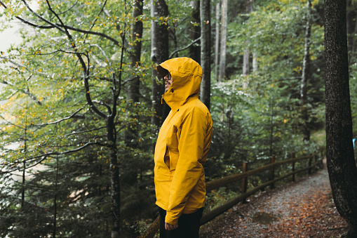 Male in traveler exploring Carpathian mountains and walking in the pine forest during a rainy autumn day
